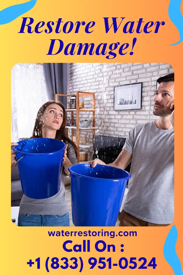 water restoration Horizon Flood Mitigation Specialists Drummond
