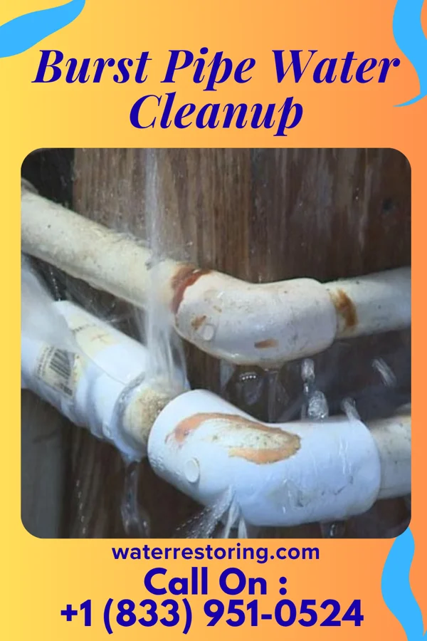 Burst Pipe Water Cleanup in Drummond, MT