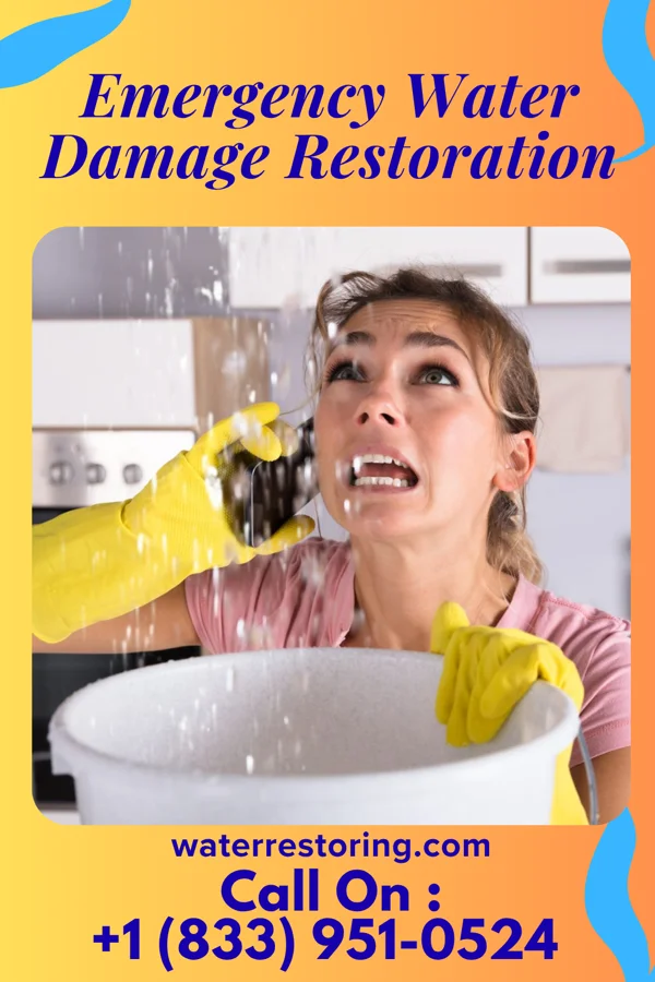 Emergency Water Damage Restoration in Drummond, MT