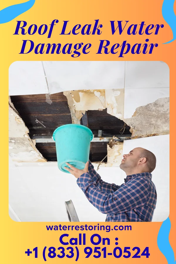 Roof Leak Water Damage Repair in Drummond, MT